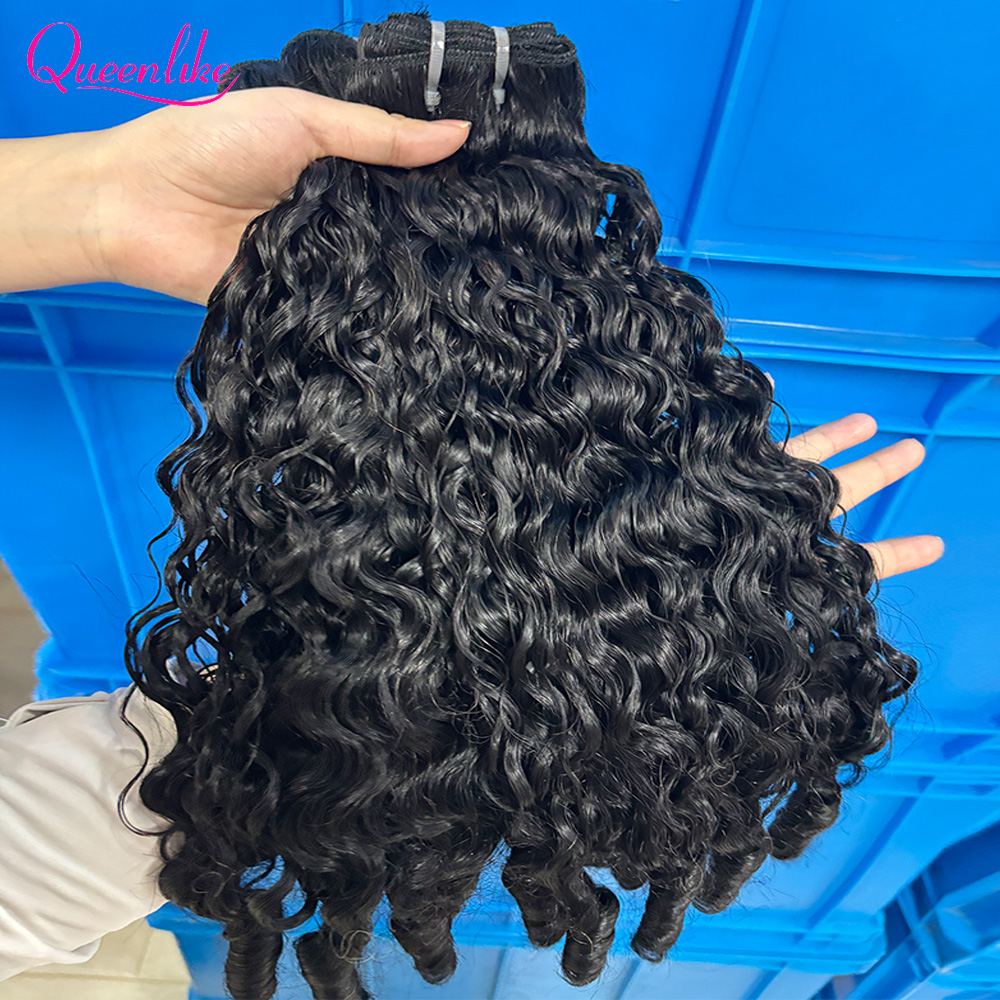 Queenlike Burmese Curly Raw Hu - Board Game Queen ulasan dan harga