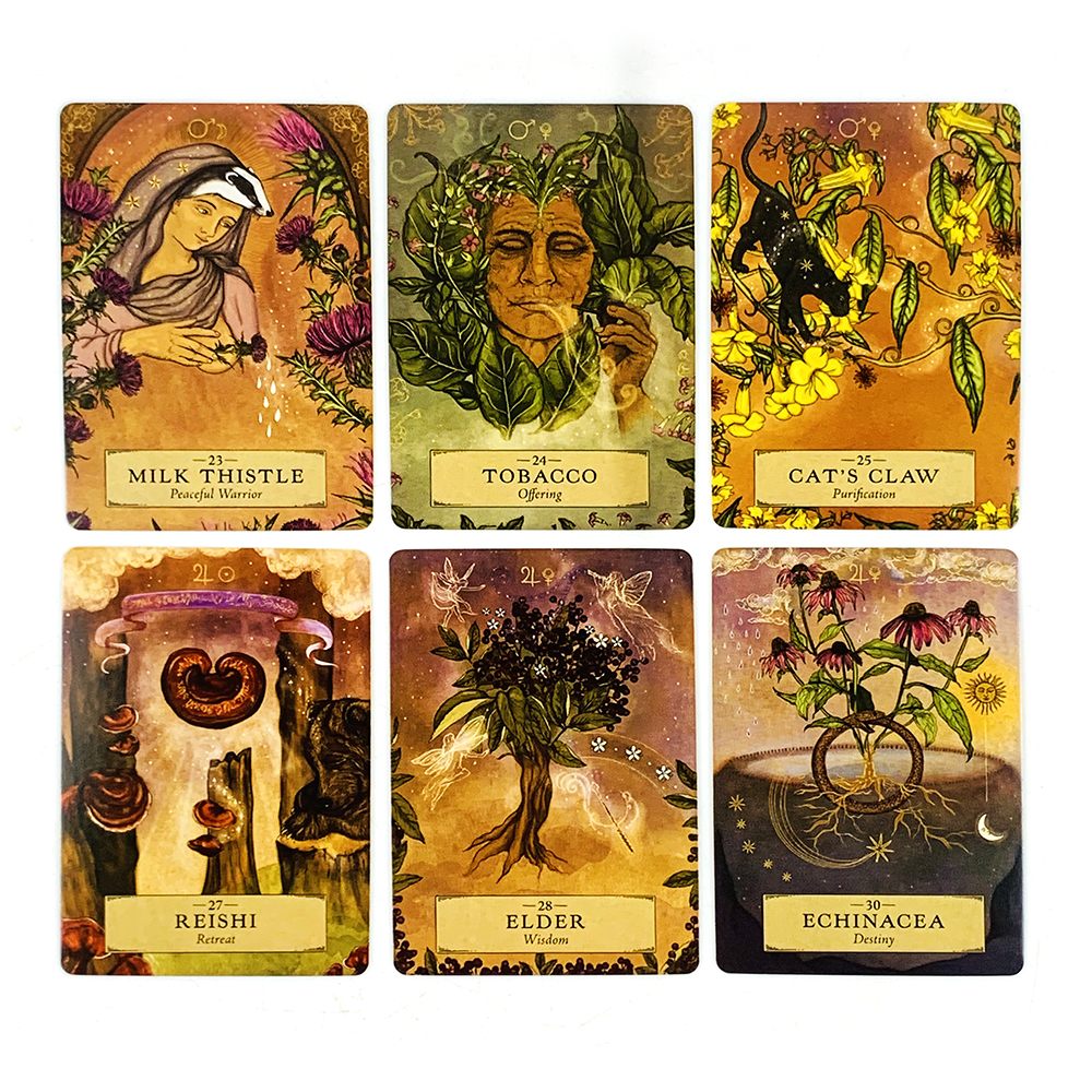 Oracle Deck A 55 Cards Family  - Board Game Illustrator ulasan dan harga